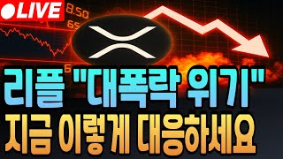 [시바이누 전망]리플 대폭락 위기 이렇게 대응하세요#시바이누 #시바이누코인전망 #시바이누분석 #업비트시황 #코인시황 #급등코인추천 #시바이누대응