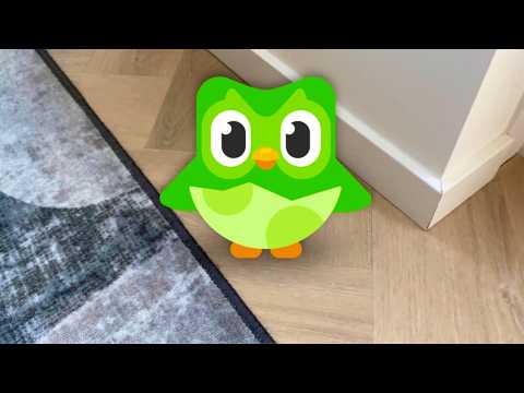 Baby Duolingo
