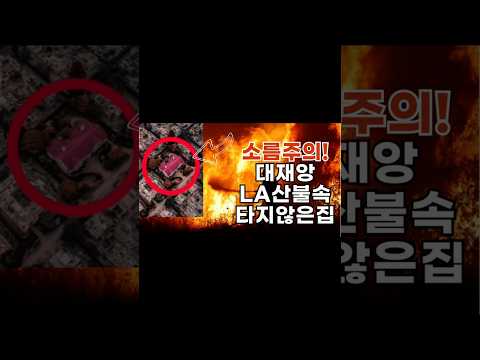 (소름주의)대재앙LA산불💥멀쩡한 집한채! 미스터리하우스#미국산불#테러#종말#la산불
