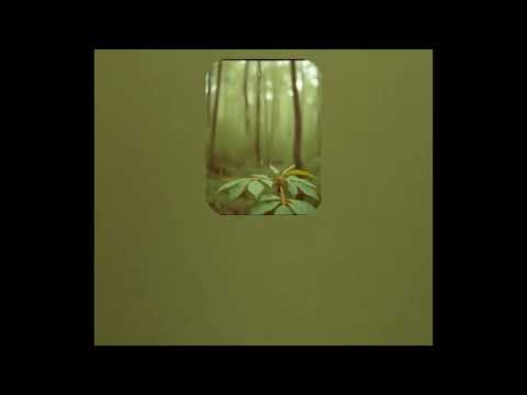 Gentle - #lofi #lofimusic #ambient