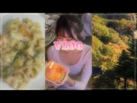 [VLOG] 일주일 브이로그 💗
