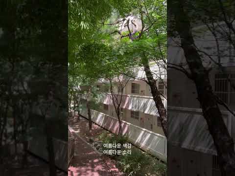 여름의 색감과 사운드. 조금은 시끄러울 때도 있지만 그게 여름같아요.