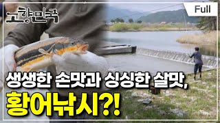 [Full] 고향민국 - 양양, 봄날이 간다