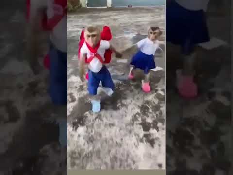 😂😂😂 #cartoon #cartoonvideo #shorts #viral #trending #subscribe #gta5