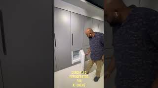 Concealed Refrigerator for kitchens / built in refrigerator #builtins #kitchen #appliances