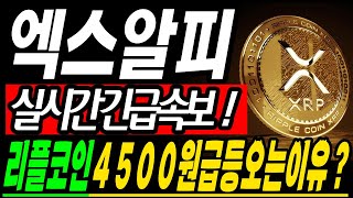 [엑스알피 코인전망] 리플 "이 가격"에서 까지 홀딩하세요! 수익실현 4500원 급등 포착 #엑스알피 #리플코인 #엑스알피전망 #리플매수가