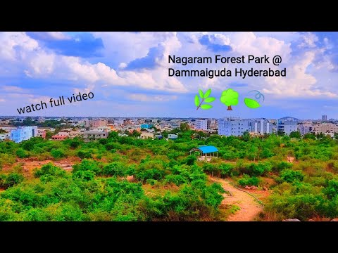 Hilltop views from Nagaram Forest park Dammaiguda Hyderabad / నాగారం ఆరోగ్య వనం Hyd telangana