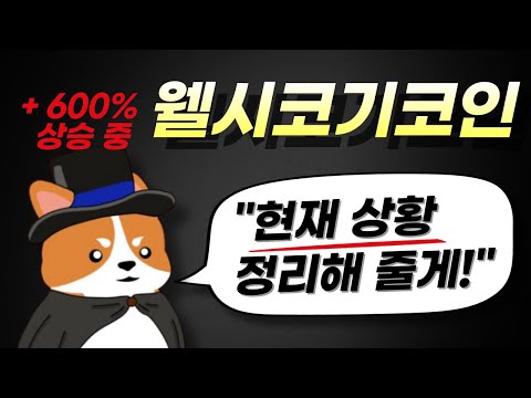웰시코기코인 +600% 상승중 현재상황 정리해드릴게요 #웰시코인 #베이비도지코인 #도지코인 #시바이누코인 #봉크 #페페