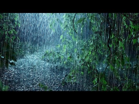 Rain Sound Screen 1 hour