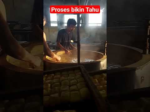 Proses bikin tagu enak dan bergizi