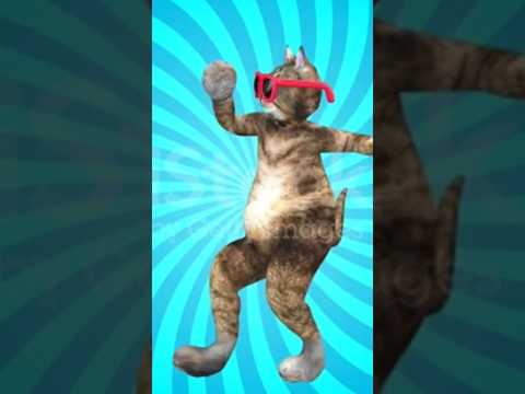 Big Cat Dancing Video 🙀 #cats #catdance