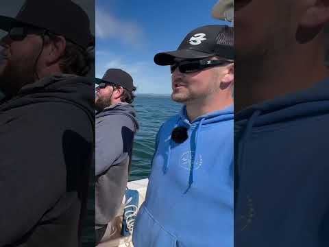 HOW to FISH the LEE of STRUCTURE
