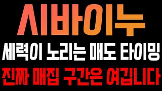 [시바이누 코인전망] 세력이 노리는 매도 타이밍! 진짜 매집 구간은 여깁니다!!