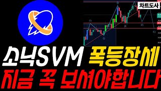 소닉SVM 폭등장세 자리 나옵니다!! 지금 꼭 수익 보셔야합니다!!