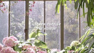Warmth Through the Window / Relaxing Pop #warmvibes #sunnydays #calmingmusic