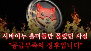 [시바이누코인 전망]홀더들만 몰랐던 사실 #시바이누대응 #shibnews #코인시황