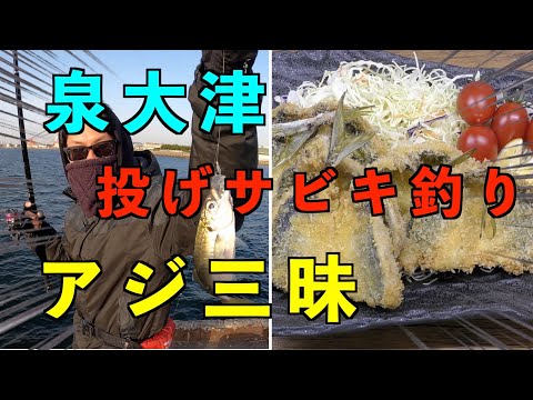 【釣り】投げサビキでアジ釣り&アジフライで食べ尽くす【泉大津】【鯵三昧】【食テロ】