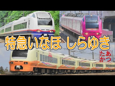 【E653系 特急いなほ＆しらゆき】信越本線 白新線
