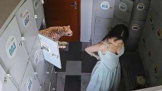 Best Prank Reaction Collection #80 | Scary Pranks/JumpScares/Funny Videos/Funny Fails
