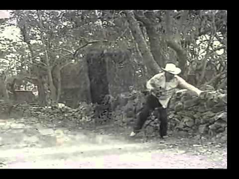 '' El Real'' El burro sin mecate