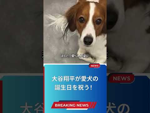 大谷翔平が愛犬の誕生日を祝う！