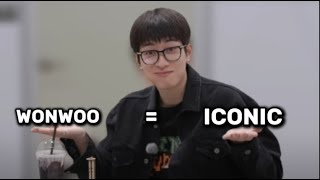 Wonwoo is so ✨ICONIC✨
