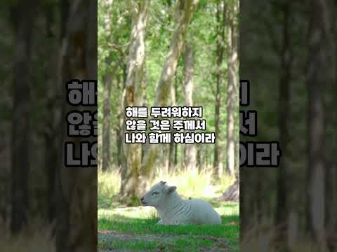 “시편 23편: 여호와는 나의 목자시니 부족함이 없으리로다”