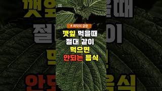 깻잎 먹을때 절대 같이 먹으면 안되는 음식 #건강 #건강정보 #건강관리 #깻잎 #음식