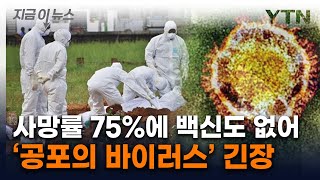 코로나 이후 처음...'치사율 75%' 공포의 감염병 주의보 [지금이뉴스] / YTN