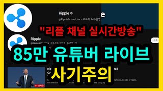 85만 유튜버 실시간 리플 2배 에어드랍 - Ripple CEO Brad Garlinghouse