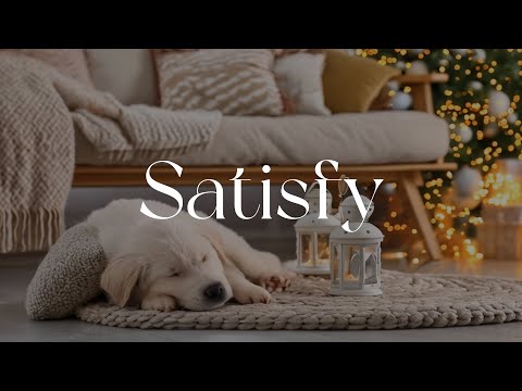 [playlist] 혼자 있는 강아지들을 위해 틀어 놓기 좋은 BGM | Dog healing BGM