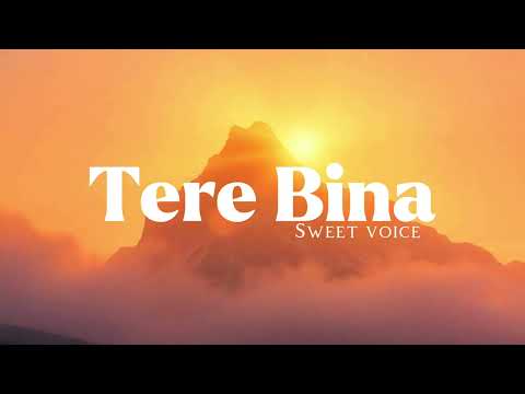 Tere Bina | new song | lyrical | sweet voice | #newmusic #bollywoodsongs #lofi