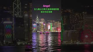 維多利亞港的夜景￼