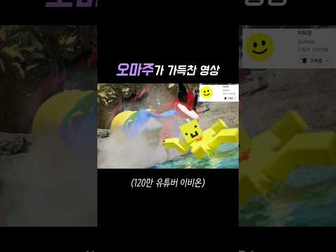 사코팍, 이비온 , 코리야맨, 가능한 Let's go