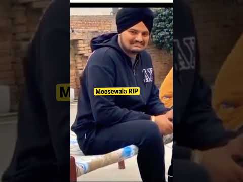 Sidhu Moosewala Birthday Cake 🎂#sidhumoosewala#shorts#rip#legend#viralvideo#punjabi#legend