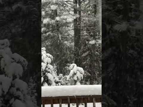 Snowfall Short