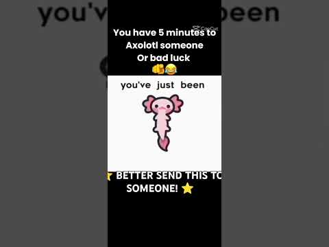 GET AXOLOTL!!! ⭐ 🩷🩷🩷🩷 @Akira_Anim3