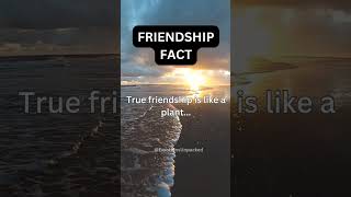 Friendship fact #shorts #viralshorts #friends #facts