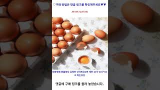 무항생제 동물복지 유정란 난각번호2번 계란 20구 40구 60구 파손보상, 동물복지유정란40구 가성비 꿀맛 #shorts 내돈내산