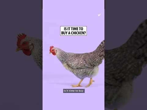 Is it time to buy a chicken?