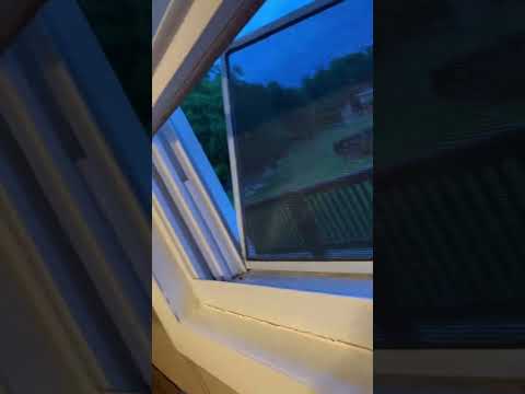 Raccoon break inn Pt1.