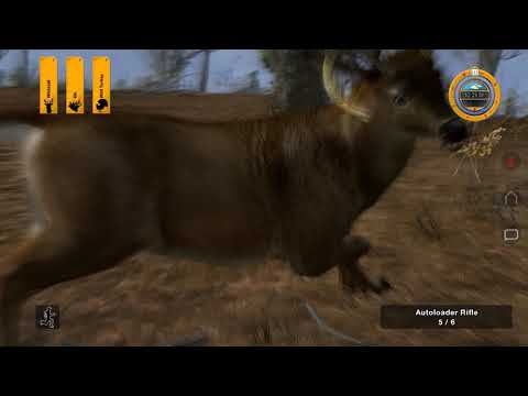 Deer Hunter Tournament Random Kills PC (1440p 60fps)