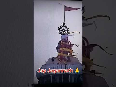 ଜୟ ଜଗନ୍ନାଥ #shorts #jagannath
