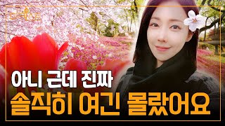 너도 나도 다가는 그런 곳 말고🌸진짜 파주 봄꽃 명소 BEST.5 [파키스트ep.6]