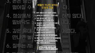 세월이 지나야 보이는 인생의 진실 #youtubeshorts #명언 #짧은통찰 #공감글귀 #인생조언 #인생공부
