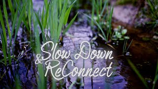 Return to Simplicity - Slow Down & ReConnect  432hz Wind Chimes Meditation