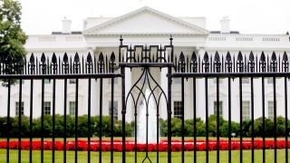 Where are the White House leaks coming from?