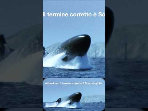Sottomarino affonda nave Giapponese @IncredibiliEventi  #shorts #storiavera #greenville