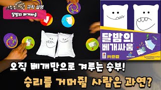 달밤의 베개싸움