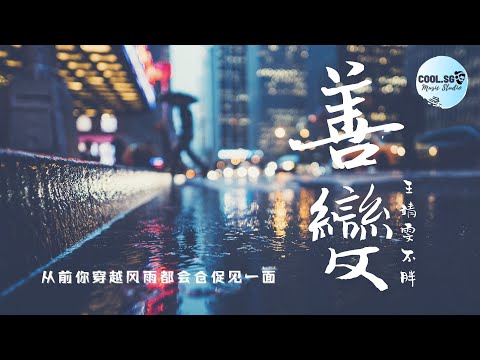 王靖雯不胖 - 善變【从前你穿越风雨都会仓促见一面】【無損音質】動態歌詞 Lyrics